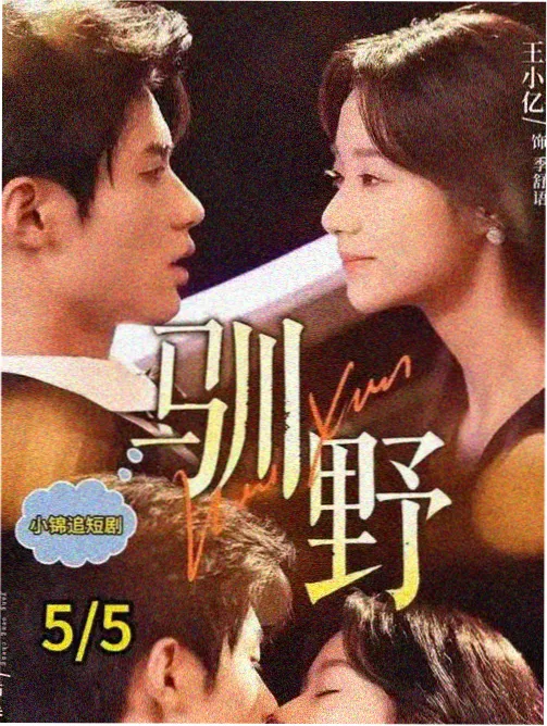剧多多影视大全 大明王朝1566
